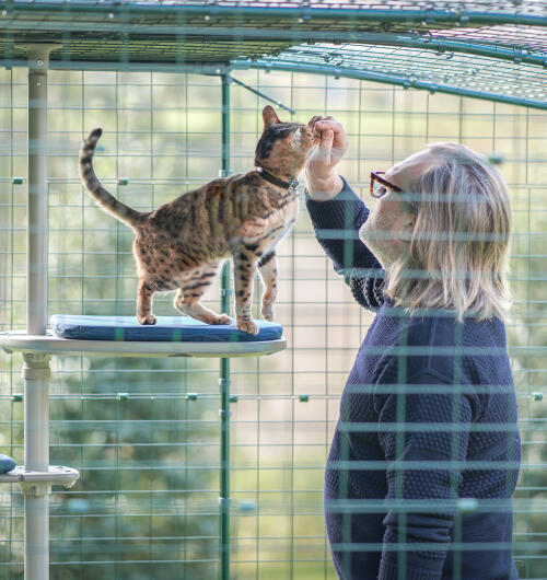En man umgås med sin katt i ett Freestyle katträd utomhus