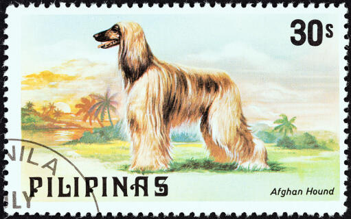 En afghansk hund på ett filippinskt frimärke