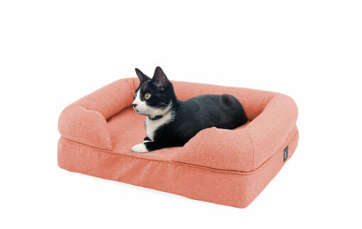 Katt som ligger i persika rosa bolster säng för katter