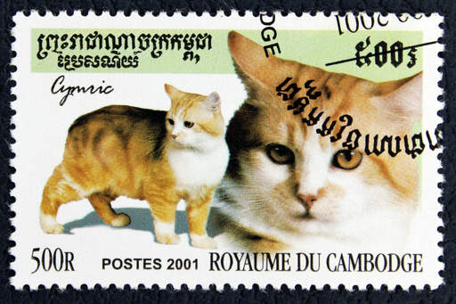 Ett frimärke från kambodja med ett cymriskt tryck på det