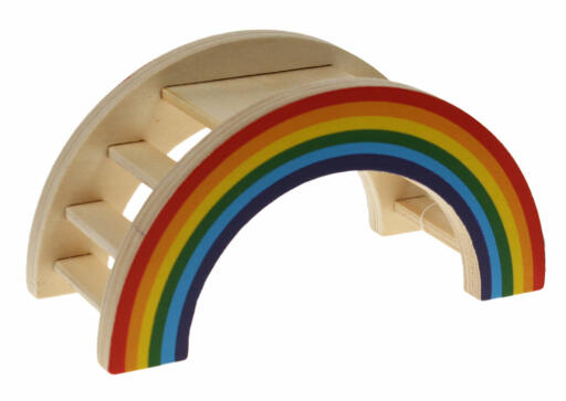 Rainbow play bridge har trappsteg och en plattform för hamstrar.