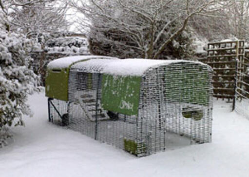 Gröna Eglu Cube och springer i trädgården täckta av Snow