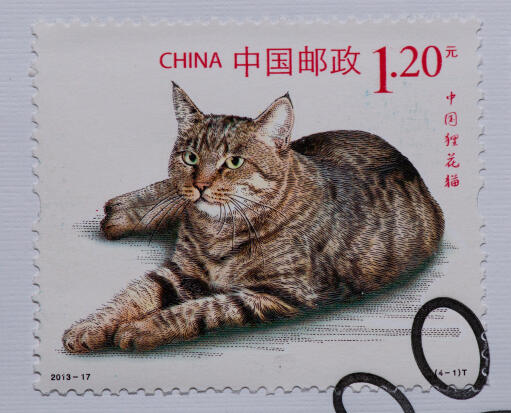 Ett frimärke från kina med en draGon li cat tryckt på det.