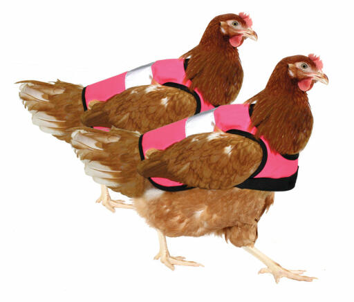 Dubbelpack med rosa kycklingjackor med hög skyddsnivå