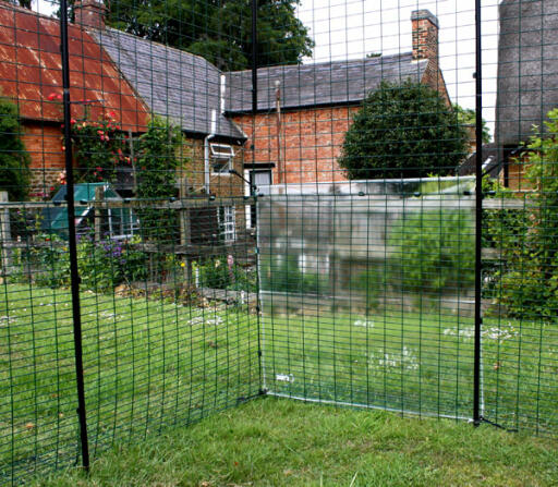 Inomhus hönsgång i trädgården med ett genomskinligt skydd