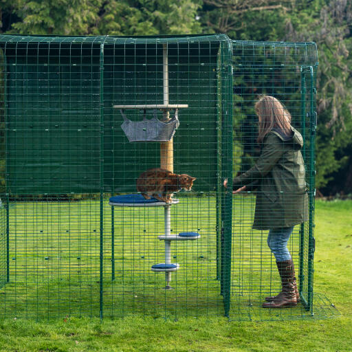 Ägaren öppnar dörren till hennes utomhusutflykt från insidan av kattutflyktsportens veranda.