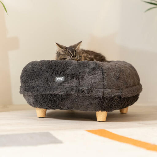 Katt som sover på Omlet Maya donut kattbädd i tidigt grått