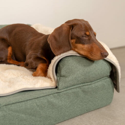 Din hund kommer njuta av avslappnad djupsömn med den lyxiga och supermjuka hundfilten.