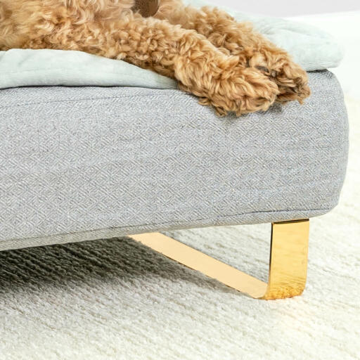 Närbild av hund som sitter på Omlet Topology hundbädd med bolster och Gold rail feet