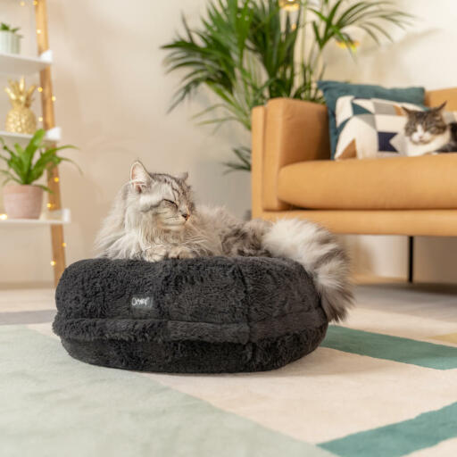 Den donut-formade kattsängen formar sig runt kattens kropp så att de sjunker ner i kudden, precis som Sammy här som väger 5kg.
