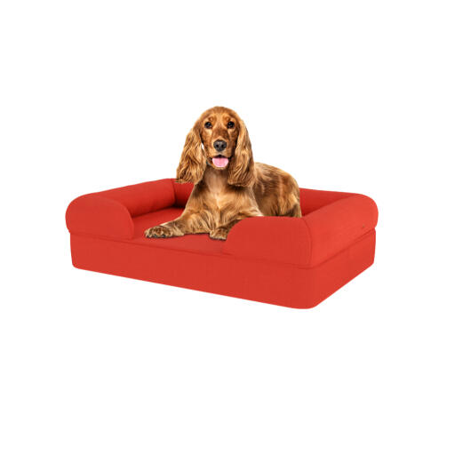 Hund sitter på körsbär röd medium memory foam bolster hund säng