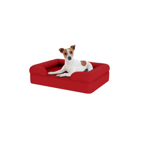 Hund sitter på liten merlot röd memory foam bolster hund säng