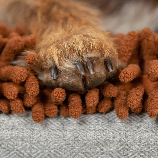 Närbild av hundtass på Omlet Topology hundbädd med mikrofibertopp