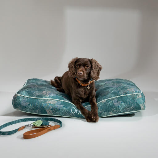 En hund som ligger på naturstigen kudde hund säng med tillbehör