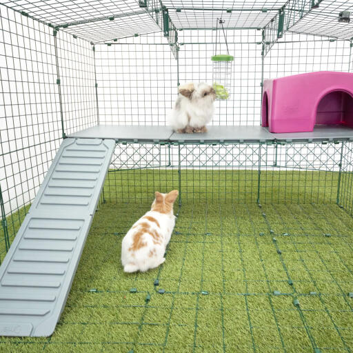 Omlet Zippi kaninlekstuga med Zippi plattformar, lila Zippi skydd, Caddi Godishållare och kaniner.