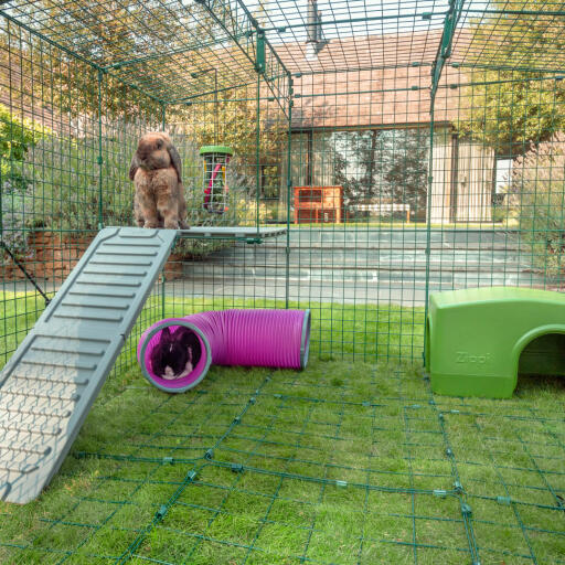 Inuti Omlet Zippi kaninlekpark med Zippi plattformar, grönt Zippi skydd, Zippi lektunnel, Caddi Godishållare och två kaniner.