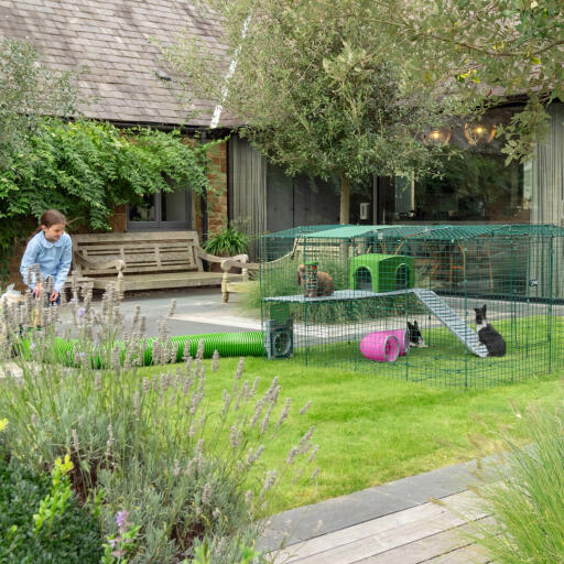 En kanin Zippi runda i trädgården, en kaninlekstunnel och ett grönt skydd för kaninlöpning.