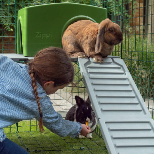 Skygga kaniner kommer att älska den skyddade platsen undet plattformen där de kan vila eller äta godsaker!
