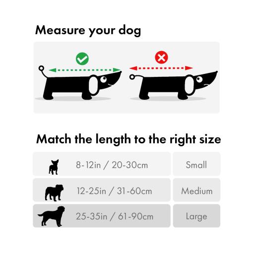 Hur du mäter din hund