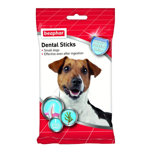 Beaphar dental sticks för små hundar