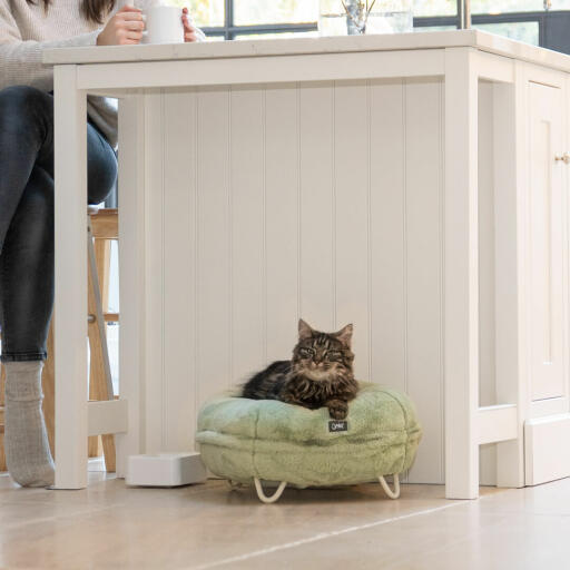 Katt i ett kök, som slappnar av i den supermjuka mintgröna donutsängen