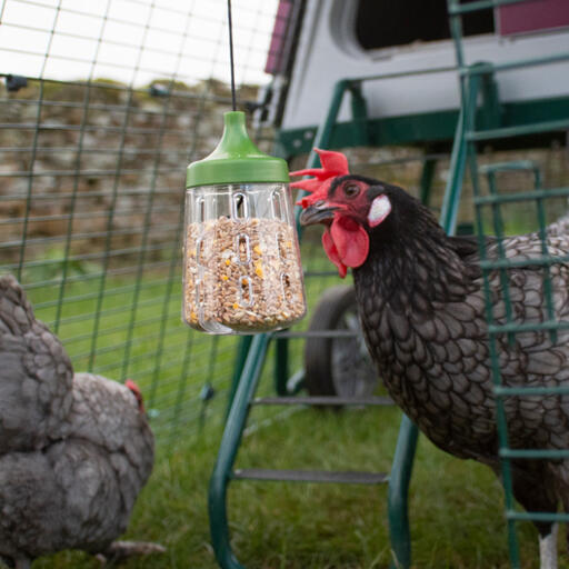 Pendant peck leksak designad av Omlet