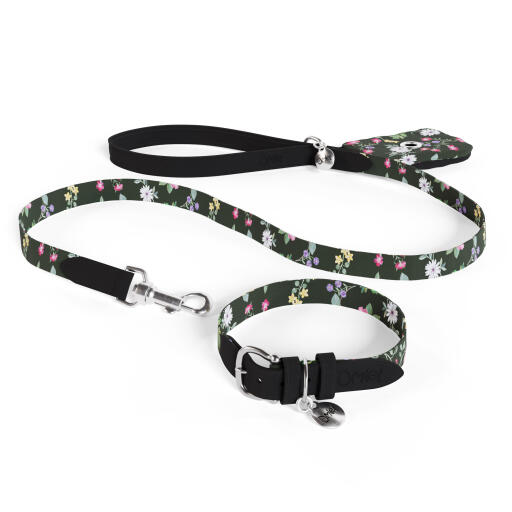 Hundlina, halsband och hållare för bajspåse som ett paket