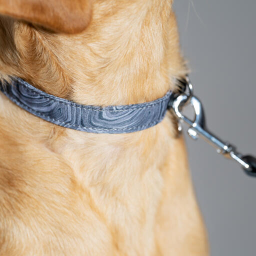 Designer hundledare och hundhalsband contour grå Omlet