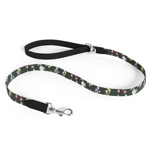 Designer hund leda midnatt äng stil av Omlet