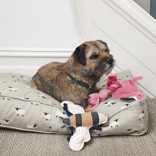 En underbar sophie allport hundleksak