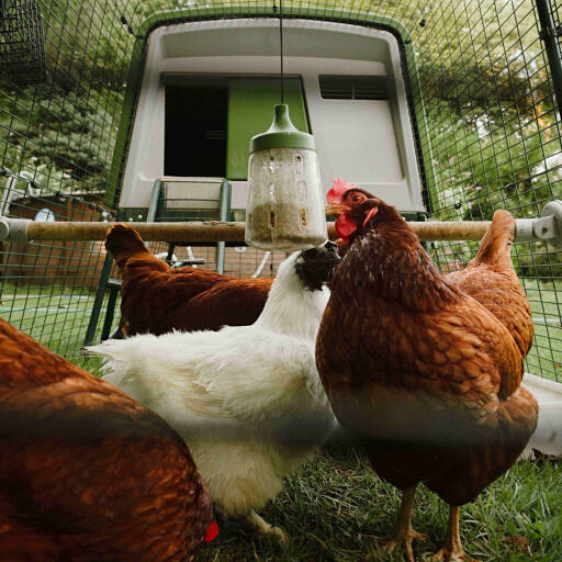 Pendant peck leksak designad av Omlet