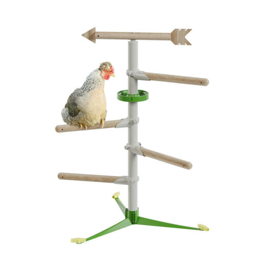 Kyckling i det fristående sittpinne-systemet genom att Omlet
