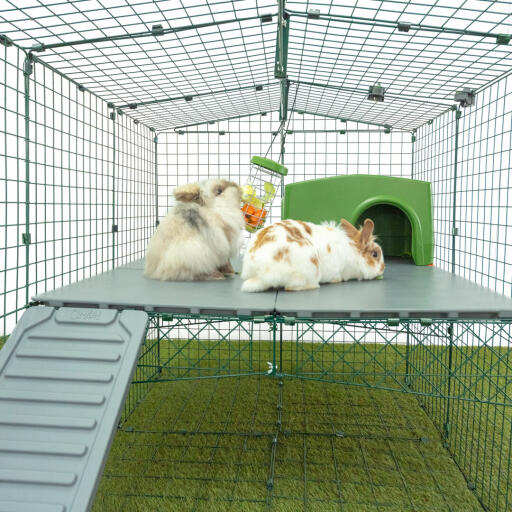 Två kaniner som gnager i Godisbehållaren i kaninhålan Omlet.