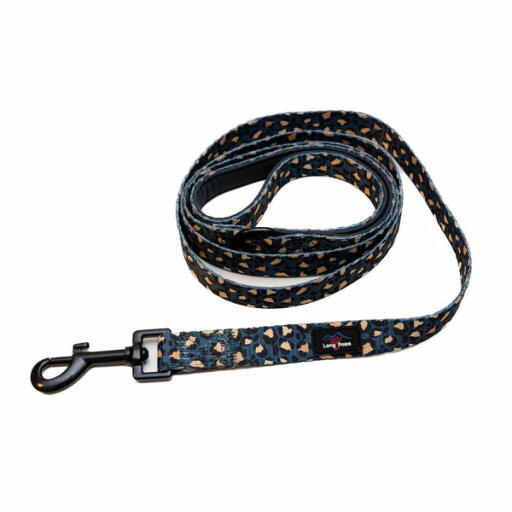 Funk the dog lead | leopard green & Gold