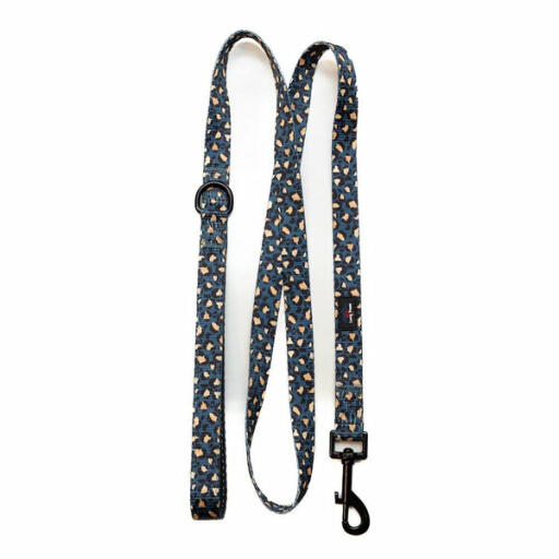 Funk the dog lead | leopard green & Gold