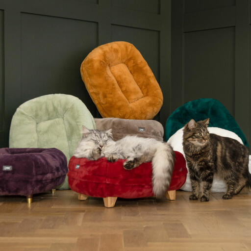 Katter sover på helt nya färger Omlet Maya donut kattsängar