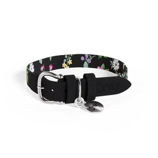Medium midnight meadow designer hundhalsband