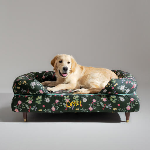 En Golden retriever vilar i midnight meadow bolster hund säng
