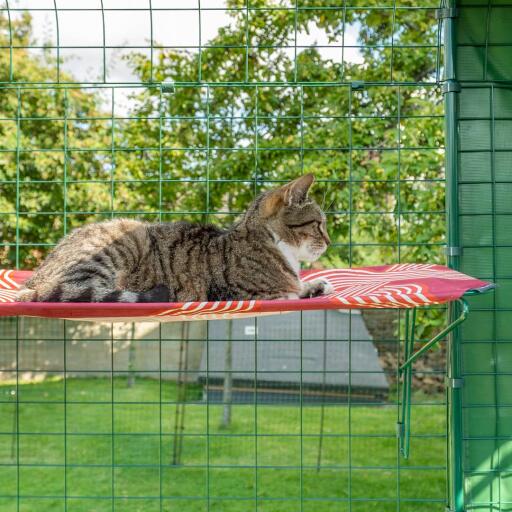 Katt som lägger sig på röd vattentät katthylla utomhus i catio