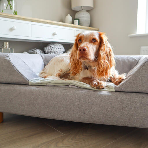 Topology hund säng med bolster topper