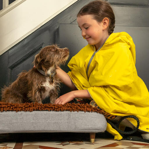 Hund som klappas av flicka på Omlet Topology hundbädd med mikrofiberöverdrag och träfötter med mässingshätta