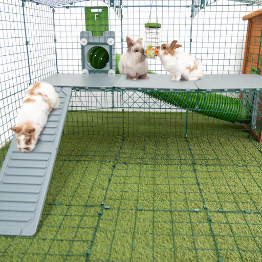 Omlet Zippi kaninlekstuga med Zippi plattformar, Caddi Godishållare, Zippi tunnel och tre kaniner