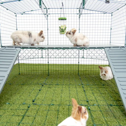 Omlet Zippi kaninlekstuga med Zippi plattformar, Caddi Godishållare och kaniner
