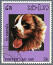 En bernese mountain dog på ett sydostasiatiskt frimärke