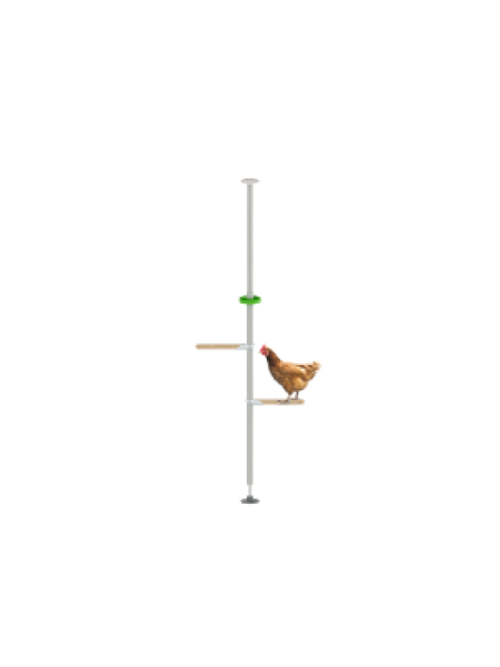 PoleTree hönsträd med sittpinnar - Startpaket Eggonomical - 1,70 - 2,15m