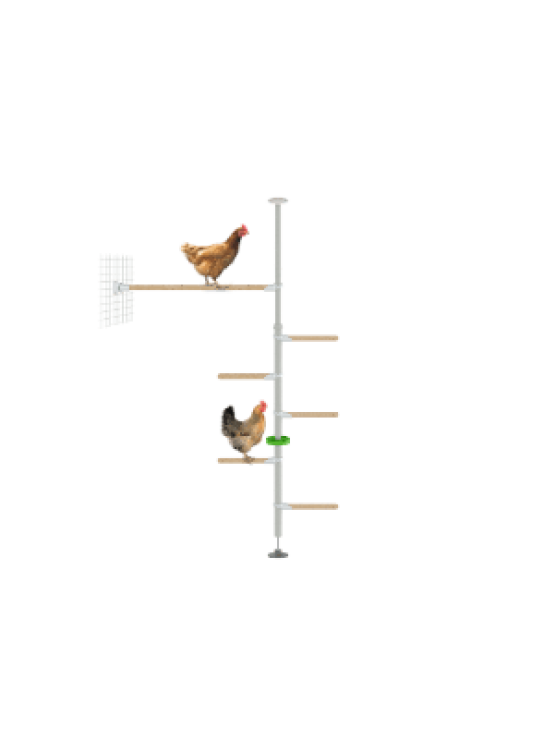 PoleTree hönsträd med sittpinnar - Startpaketet Hendurance - 1,70 - 2,15m