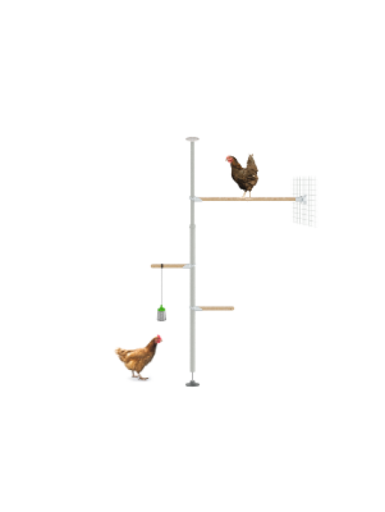 PoleTree hönsträd med sittpinnar - Startpaket Eggcercise - 1,70 - 2,15m