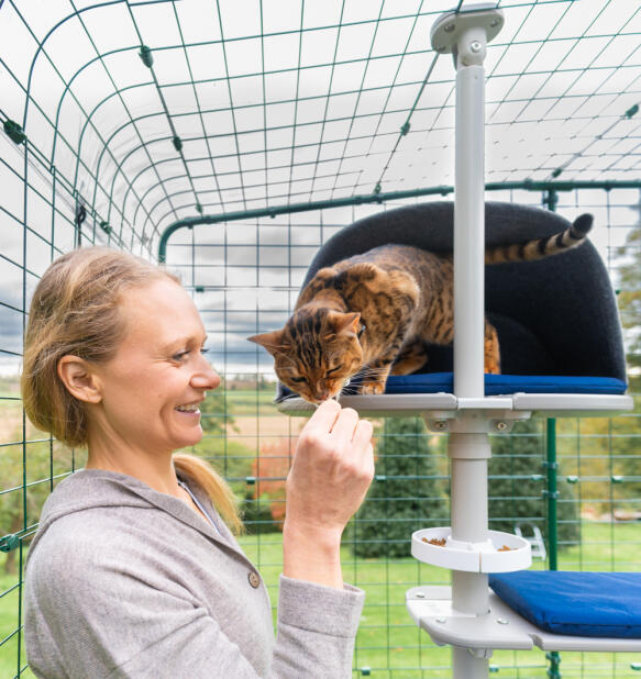 En kvinna som klappar sin katt på Freestyle katträd
