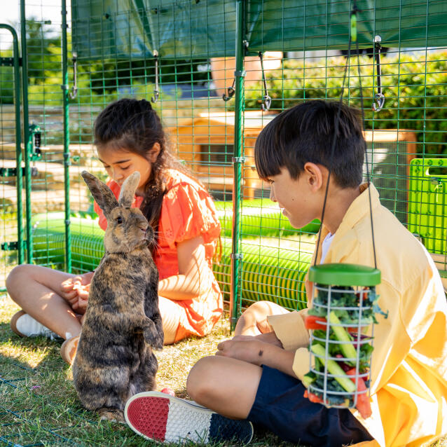 Barn och kaniner leker i en stor kaningård utomhus