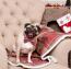 Mops med fluga i soffan Mops med fluga i soffan